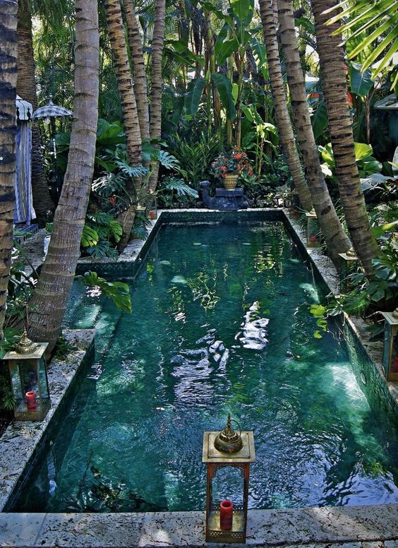 Bali tropical garden