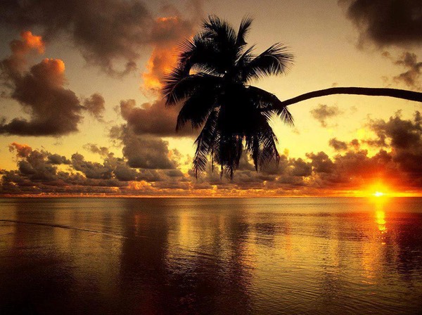 Beautiful Sunset at Beach Cook Islands (South Pacific Ocean)