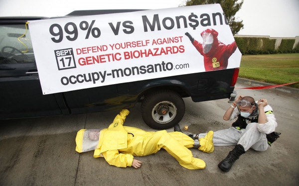 Occupy Monsanto- UK Campaigners set to Target Genetically Modified